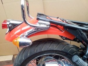 Rear Mudguard & Light