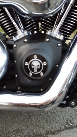 Fat Bob & Street Bob Gell Skull Sticker