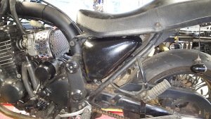 Thunderbird Sport Slim Side Panel's